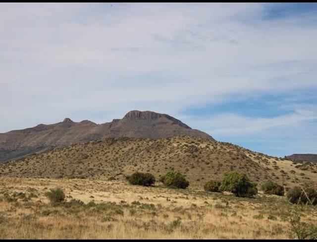 31HA FARM FOR SALE IN MIDDELBURG RURAL